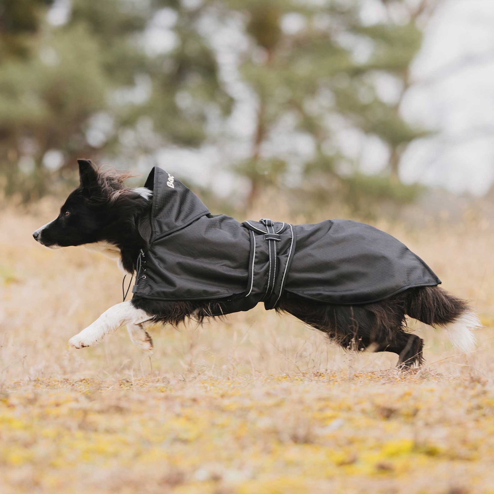 Multiseason Hundedecke mit Füllung – Bild 5