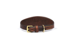 Leather greyhound collar with collar guard , handcrafted with brass hardware.