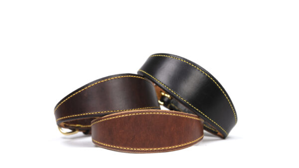 Leather greyhound collar with collar guard, handcrafted with brass hardware.