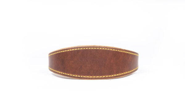 Leather greyhound collar with soft leather collar guard and padding, handcrafted with brass hardware.